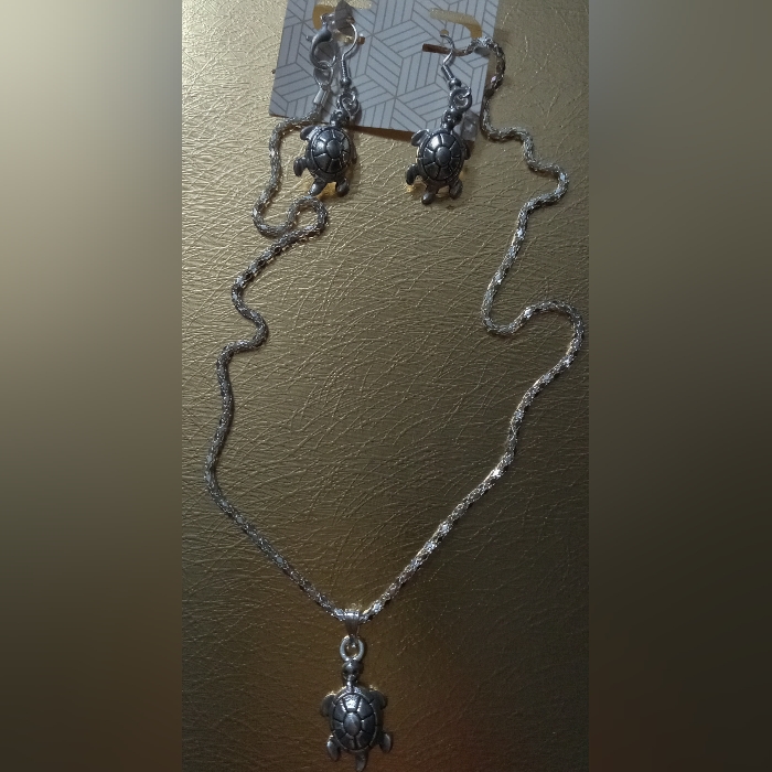 Silver Turtle Jewelry Set